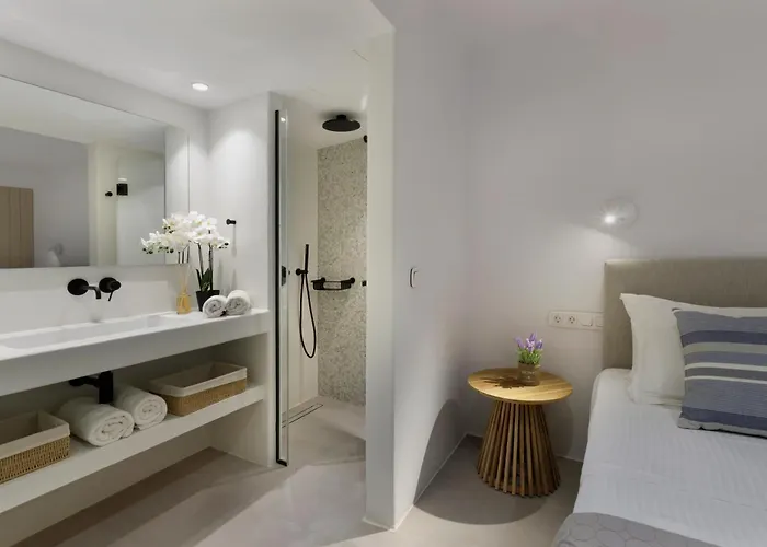 Vivant 1 * Naousa (Paros)