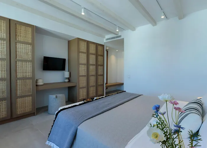 Vivant 1 Holiday home Naousa (Paros)