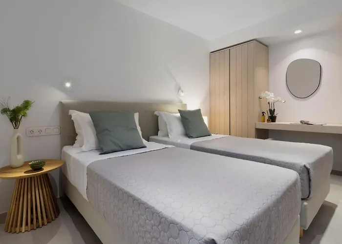 Vivant 1 Naousa (Paros)